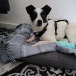 Ersteller:in Bianca Profilbild