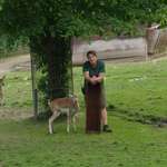 Ersteller:in Desiree Profilbild