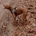 Ersteller:in Dunya Profilbild