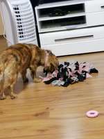 Schnüffeldecke-Beitrag-Bild