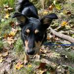 Ersteller:in Theres Profilbild