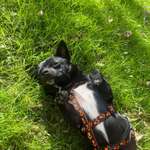 Ersteller:in Luke Profilbild