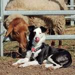 Ersteller:in Sophia Profilbild