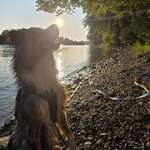 Ersteller:in Cindy Profilbild