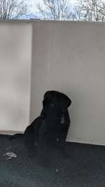 Balkon Schutz-Beitrag-Bild