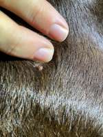 Geschwulst / Knubbel / Warze-Beitrag-Bild