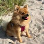 Ersteller:in Laura Profilbild