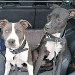 Ersteller:in Miranda Profilbild