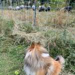 Ersteller:in Elke Profilbild