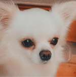 Ersteller:in Ramona Profilbild