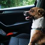 Ersteller:in Jessica Profilbild