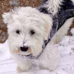 Ersteller:in Kerstin Profilbild