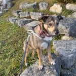 Ersteller:in Maja Profilbild