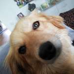 Ersteller:in Petra Profilbild