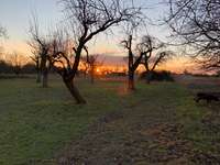 Hundeauslaufgebiet-Heiligenstock-Bild