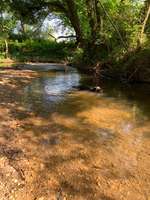 Hundeauslaufgebiet-Feld und Wiesen am Eschbach-Bild