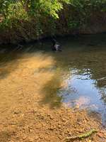Hundeauslaufgebiet-Feld und Wiesen am Eschbach-Bild