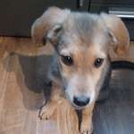 Ersteller:in Petra Profilbild