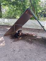 Hundeauslaufgebiet-Hundespielplatz Bad Honnef-Bild