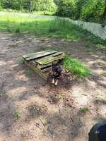 Hundeauslaufgebiet-Hundespielplatz Bad Honnef-Bild