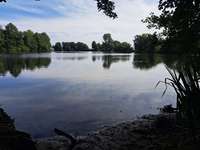 Hundeauslaufgebiet-Nanke's Café am Luisenbad-Bild