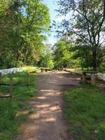 Hundeauslaufgebiet-Hundespielplatz Bad Honnef-Bild