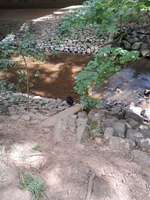 Hundeauslaufgebiet-Hundewiese Sankt Augustin Niederpleis-Bild