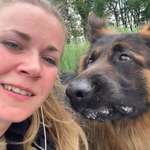 Ersteller:in Lara Profilbild