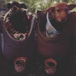 Ersteller:in Sandro Profilbild