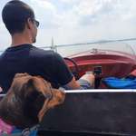 Ersteller:in Dom Profilbild