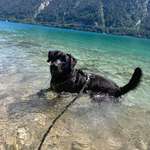 Ersteller:in Natalie Profilbild