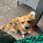 Ersteller:in Ina-Marie Profilbild