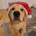 Ersteller:in Bianca Profilbild