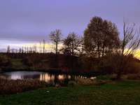 Hundeauslaufgebiet-Bürgerpark-Bild