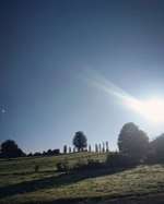 Hundeauslaufgebiet-Bürgerpark-Bild