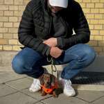 Ersteller:in Mario Profilbild