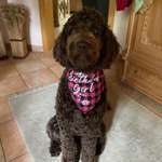 Ersteller:in Ulrike Profilbild