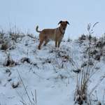 Ersteller:in Christina Profilbild