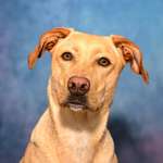 Ersteller:in Christina Profilbild