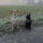 Ersteller:in Christina Profilbild