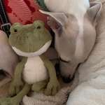 Ersteller:in Pia Profilbild