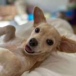 Ersteller:in Laura Profilbild