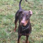 Ersteller:in Sellya Profilbild