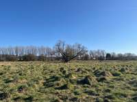 Hundeauslaufgebiet-Hattingen-Bild