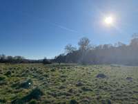 Hundeauslaufgebiet-Hattingen-Bild