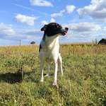 Ersteller:in Chay Profilbild