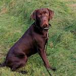 Ersteller:in Sarah Profilbild