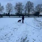 Ersteller:in Denise Aylin Profilbild