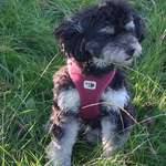 Ersteller:in Sylvia Profilbild