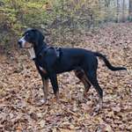 Ersteller:in Frank Profilbild